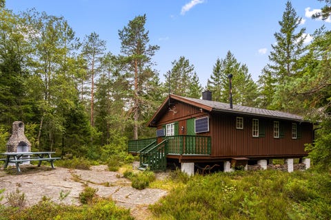 Bilde 1 av annonsen