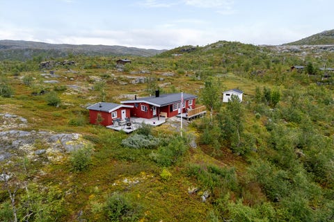 Bilde 1 av annonsen