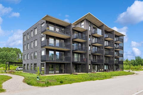 Bilde 1 av annonsen