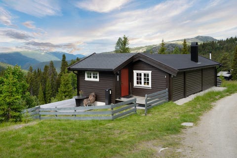 Bilde 1 av annonsen