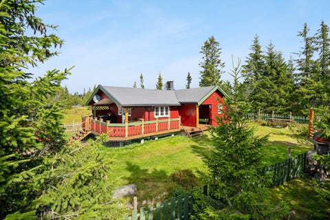 Bilde 1 av annonsen