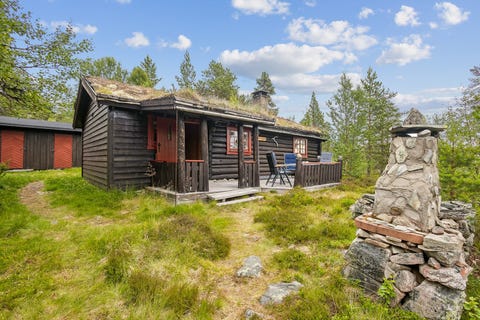 Bilde 1 av annonsen