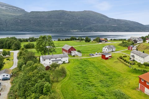 Bilde 1 av annonsen