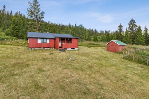 Bilde 1 av annonsen