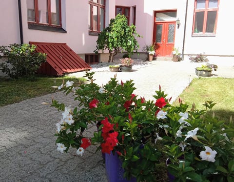 Bilde 2 av annonsen