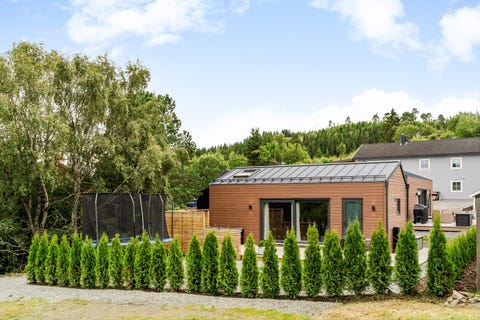 Bilde 1 av annonsen
