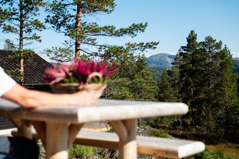Bilde 2 av annonsen