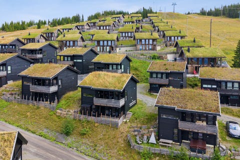 Bilde 2 av annonsen