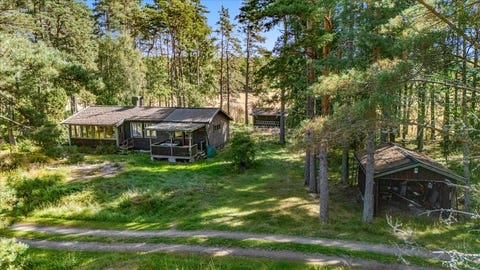 Bilde 1 av annonsen