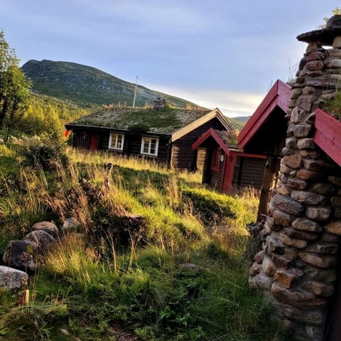 Bilde 1 av annonsen