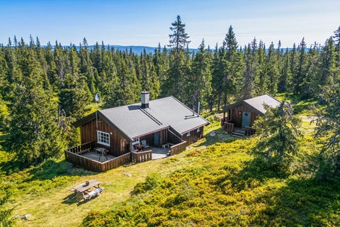 Bilde 1 av annonsen