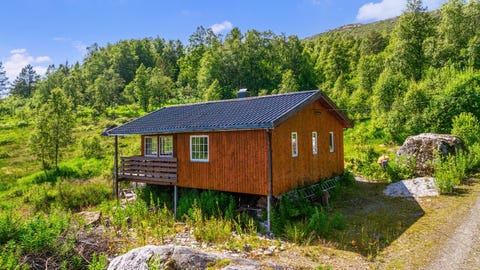Bilde 1 av annonsen