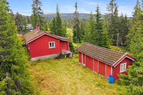 Bilde 1 av annonsen