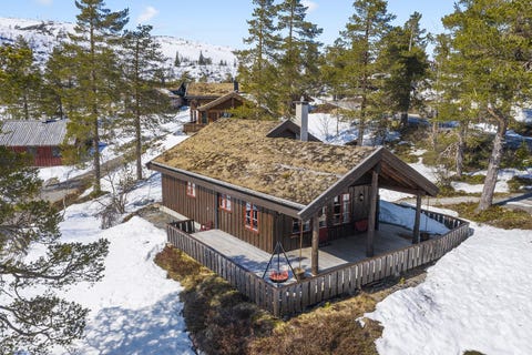 Bilde 2 av annonsen