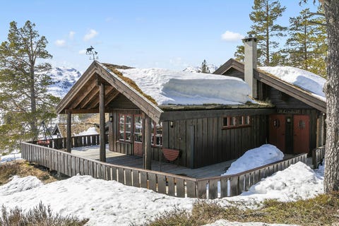 Bilde 1 av annonsen