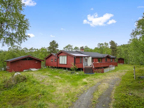 Bilde 1 av annonsen