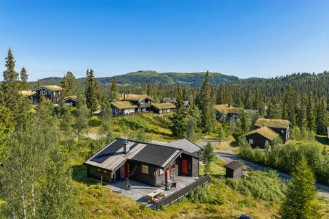 Bilde 1 av annonsen