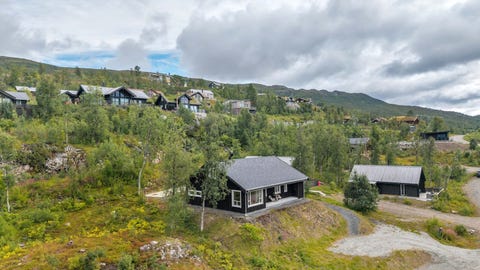 Bilde 1 av annonsen