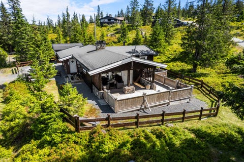 Bilde 1 av annonsen