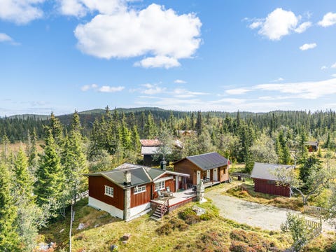 Bilde 1 av annonsen