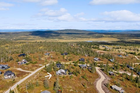 Bilde 1 av annonsen
