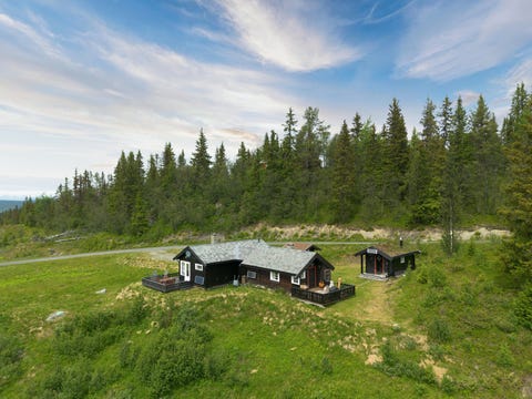 Bilde 2 av annonsen