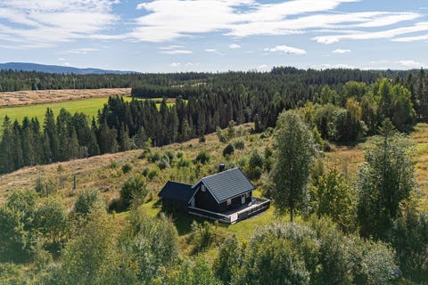 Bilde 2 av annonsen