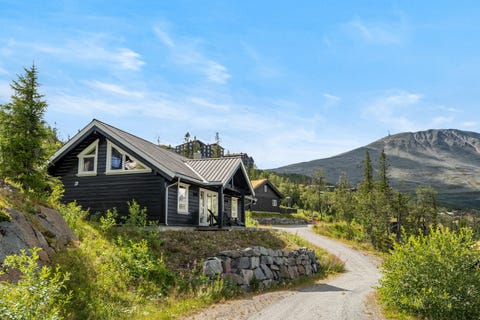 Bilde 1 av annonsen