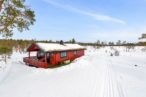 Bilde 1 av annonsen