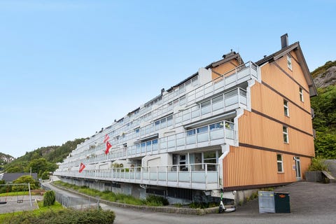 Bilde 1 av annonsen