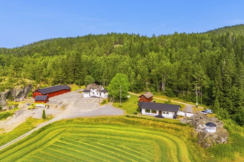 Bilde 2 av annonsen