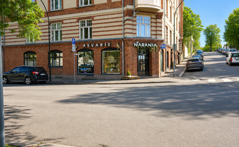 Bilde 1 av annonsen