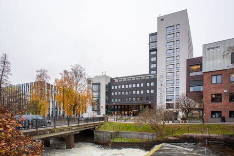 Bilde 2 av annonsen