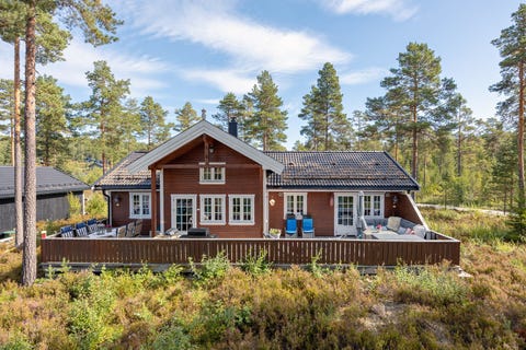 Bilde 1 av annonsen