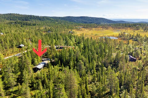 Bilde 2 av annonsen