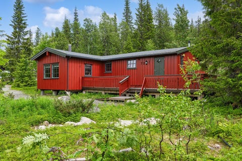 Bilde 1 av annonsen