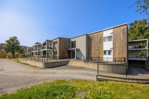 Bilde 1 av annonsen