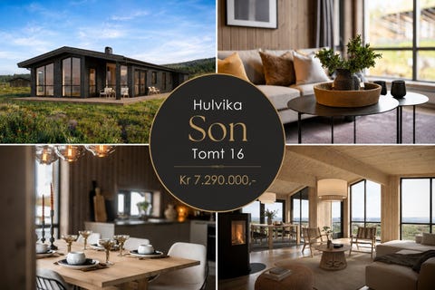 Bilde 1 av annonsen