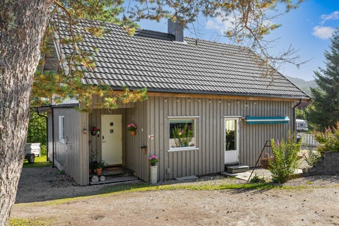 Bilde 1 av annonsen