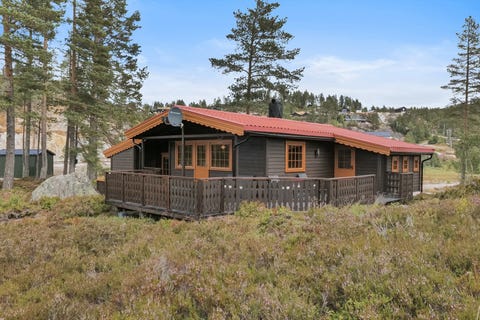 Bilde 1 av annonsen