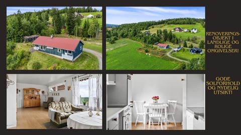 Bilde 1 av annonsen