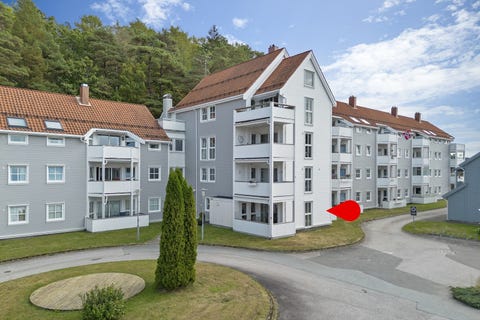 Bilde 1 av annonsen