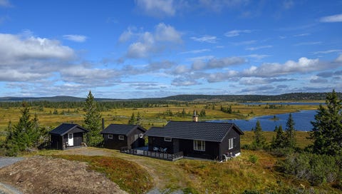 Bilde 1 av annonsen