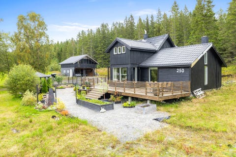 Bilde 1 av annonsen