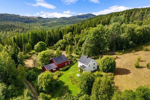 Bilde 2 av annonsen