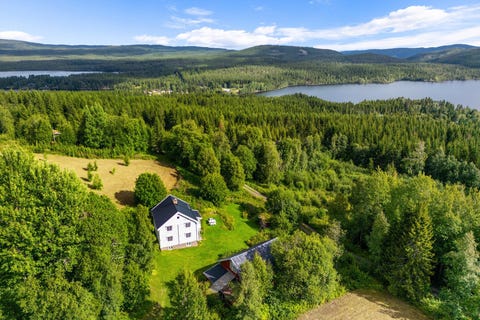 Bilde 1 av annonsen
