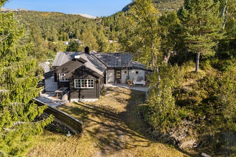 Bilde 1 av annonsen