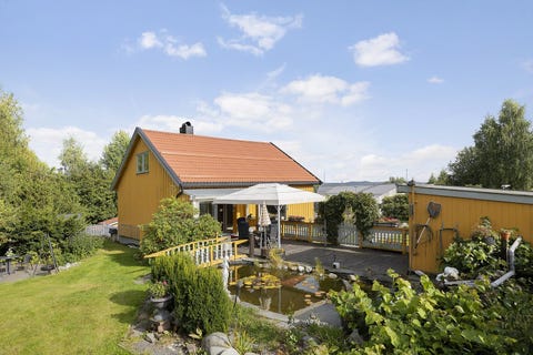 Bilde 1 av annonsen