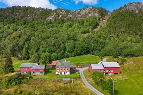 Bilde 1 av annonsen
