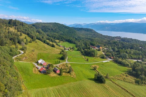 Bilde 2 av annonsen